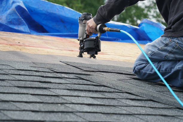 Best Roof Gutter Cleaning  in Campbell, OH