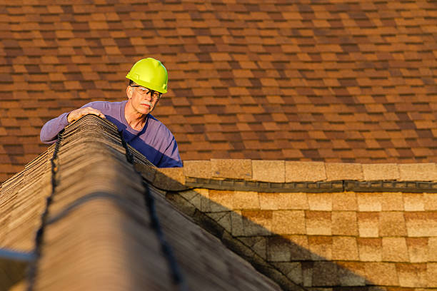 Best Metal Roofing Contractor  in Campbell, OH