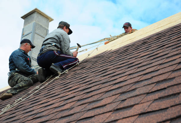 Best Roof Restoration Services  in Campbell, OH