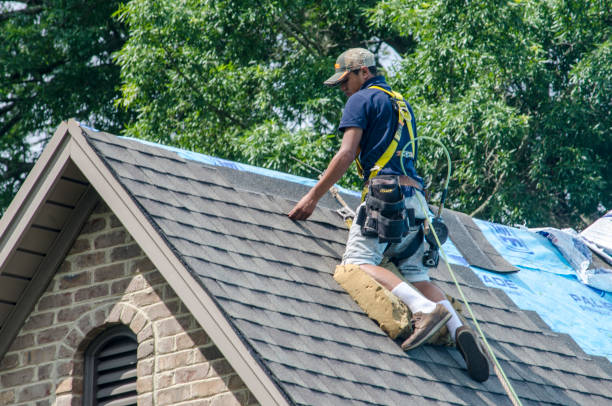 Best Emergency Roof Repair  in Campbell, OH